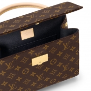 Сумка Louis Vuitton Cluny BB